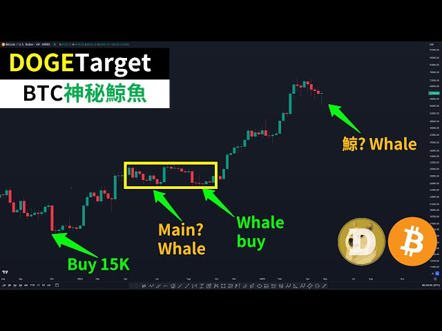 マスク氏が再びドージコインを呼び出しました!ビットコインのもう一つの謎のクジラ