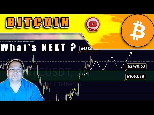 COST - PANDA - HOOK - Bitcoin Update ! GEM Hunting !