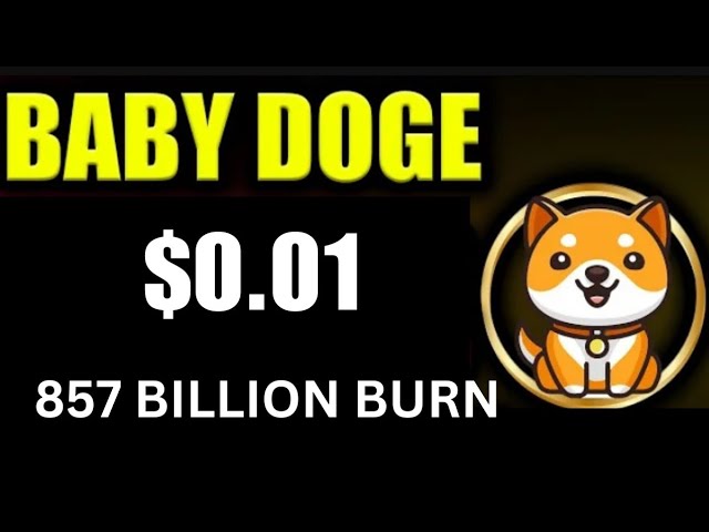 今日のベイビードージコインニュース | 8570億が燃えている | BabyDoge コイン価格ポンプ |リスト