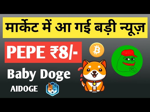 Bitcoin réduit de moitié en 365 jours | JETON PEPE | JETON AIDOGE | BÉBÉ DOGECOIN | Toutes les informations BTC