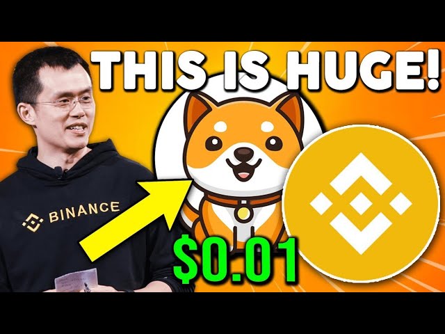 BABY DOGECOIN🫣10 DAY'S BINANCE LIST $0.0001🤑0000 ZERO KILL 😱COIN BRAKINGNEWS TODAY PRICE PREDICTION