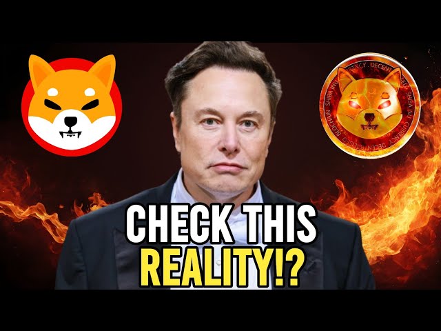 明らかにした！柴犬は0.5ドルに爆発します！ - 説明 - イーロン・マスクの現実?!