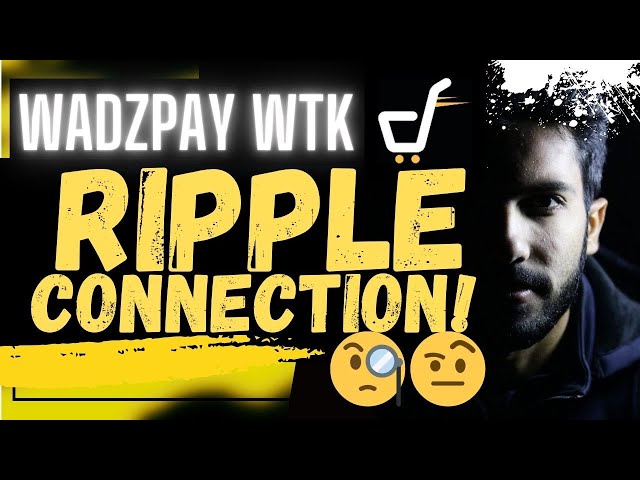 🚨 WADZPAY WTK: リップルコネクション!!!🚨