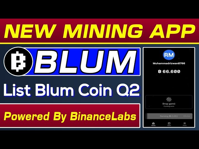 Blum New Mining Platform 2024 | Blum Token Listing Q2 | Blum Powered By BinanceLabs | Rizwan Blouch