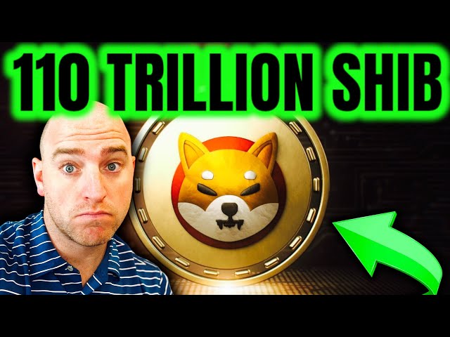 SHIBA INU - 110 TRILLION SHIB TO ERASE THE NEXT ZERO!