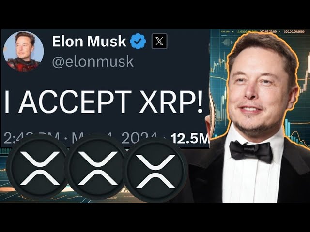 XRP Miracle_ ELON MUSK parle avec Ripple, XRP NEWS AUJOURD'HUI