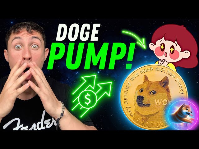 PRIX DES PIÈCES DOGE | DOGE COIN NEWS - TESLA autorise les paiements Dogecoin !!