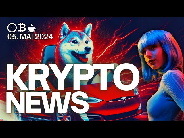 Memecoin 之戰：Tesla & DOGE vs. SHIB & PayPal + 比特幣不是去中心化的！ + BitFinex 駭客攻擊？