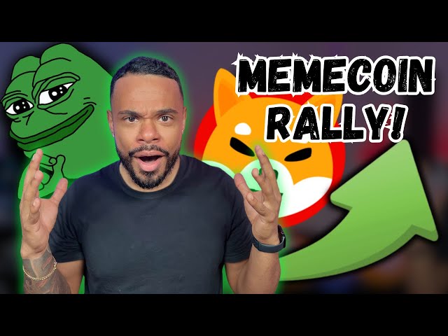 De nouveaux Memecoins prennent le relais ! BRETT, PEPE, CRODIE et plus encore !