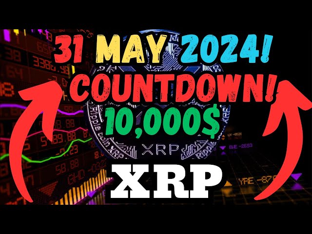 Wer mehr als 1000 Xrp besitzt, wird extrem reich!