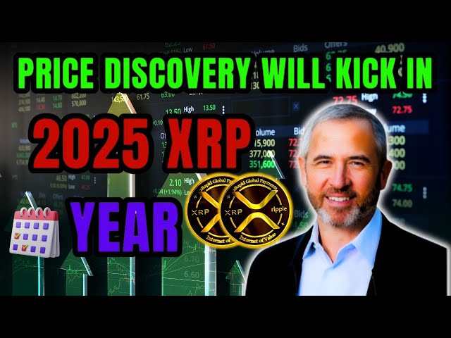 警告！ 2025 年は XRP の年です!価格発見が始まります!史上最高値を更新します!今日の最新ニュース