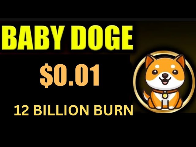 寶貝狗狗幣今日新聞 | 120億燃燒| BabyDoge 硬幣價格泵 200x |清單