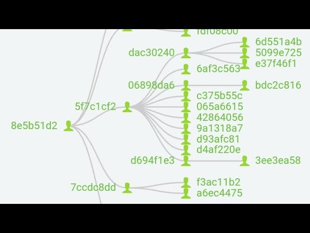 FDUSD coin: how to see your godchildren?