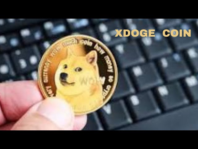 XDoge explain | Xdoge | X doge token | scam or not | New meme coin | 100x | x doge coin