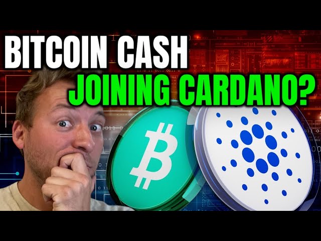 CARDANO ADA – BITCOIN CASH, UM CARDANO BEIzutreten?!! DIE TÜREN SIND OFFEN!