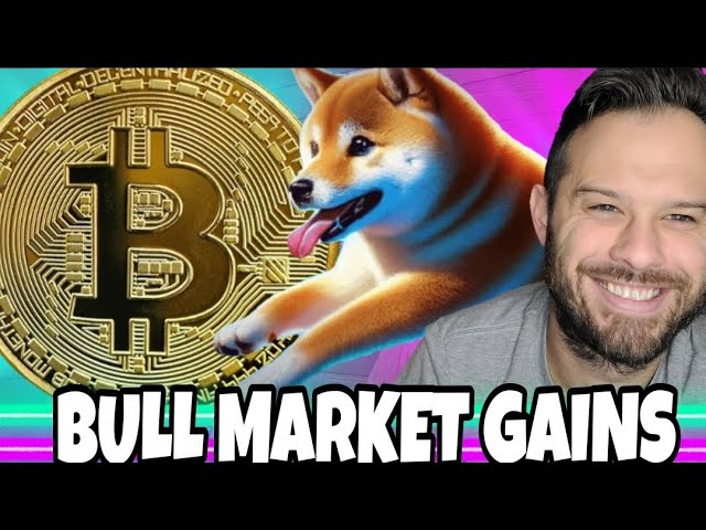 Bitcoin bereitet sich auf einen Bullenmarkt vor, wobei Token wie Dogeverse möglicherweise am meisten gewinnen!