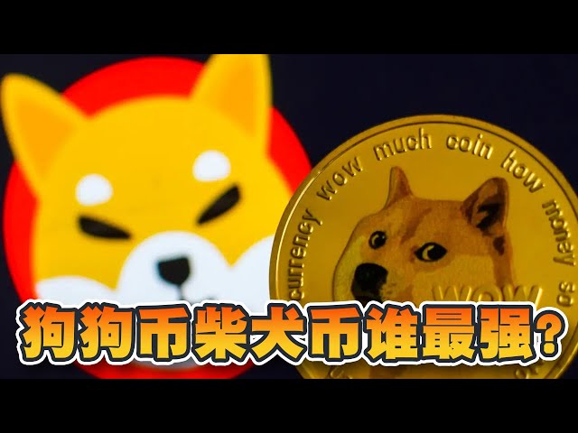 Dogecoin 또는 Shiba Inucoin 중 누가 가장 강한가요? 시장 가치 측면에서 두 가지의 차이점을 살펴보세요! 5월에는 어떤 밈 코인이 주목받고 있나요? |크립토뉴스