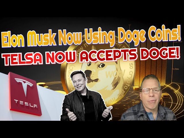 PAIEMENTS DOGE COIN/ELON MUSK