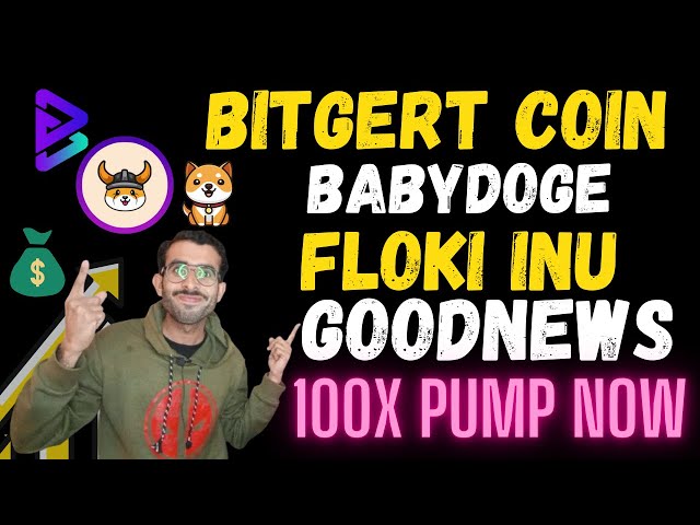 Baby Doge Coin Floki Inu Bitgert Brise 更新 | Floki inu 硬币今日新闻