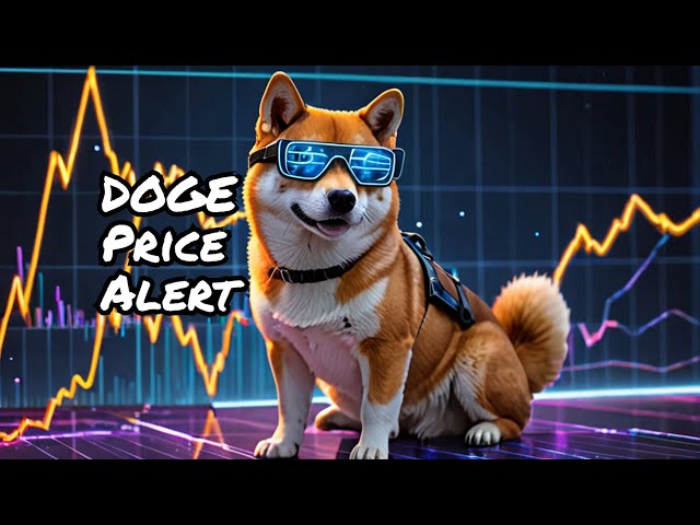 DOGE 币加密更新：短期价格走势