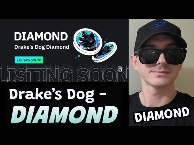 $DIAMOND - DRAKE'S DOG 代幣加密貨幣 DIAMOND BITMART SOL SOLANA RAYDIUM JUPITER MEME DRAKE DOGE