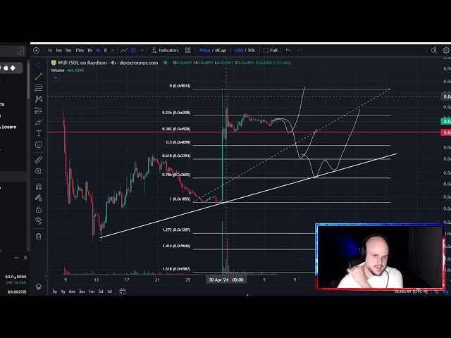 2024 年 Wuffi Solana SOL 代幣價格預測與技術分析