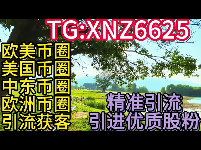 米国の通貨圏でトラフィックを呼び込むにはどうすればよいでしょうか?アメリカン通貨サークルファン WS精密ファン+Xiaoyu TG：XNZ6625