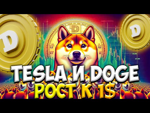 ELON MUSK PAMPING DOGE - TESLA ACCEPTS PAYMENT IN DOGE COIN