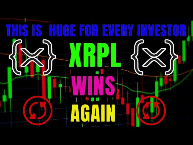 XRP 變得更看漲 |這對每個投資者來說都是巨大的！