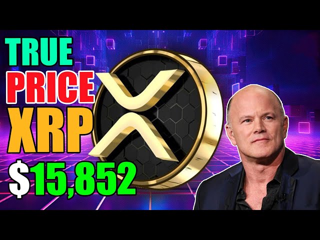 오늘 XRP 뉴스의 리플 직원은 $15,852에 달하는 XRP의 실제 가격을 부인했습니다!