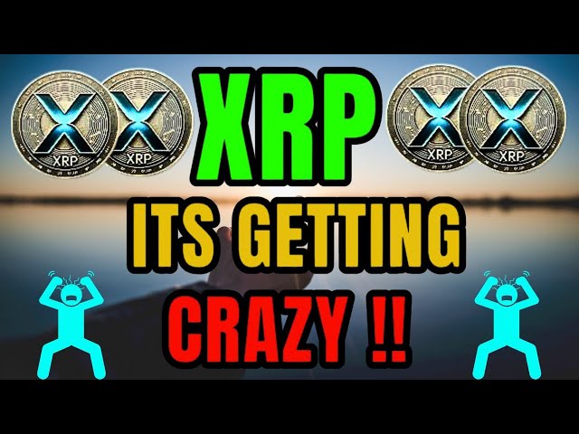 오늘 XRP 리플 !!!! 점점 미쳐가고 있어 !!!! 오늘의 XRP 빅 뉴스#xrp #crypto #news