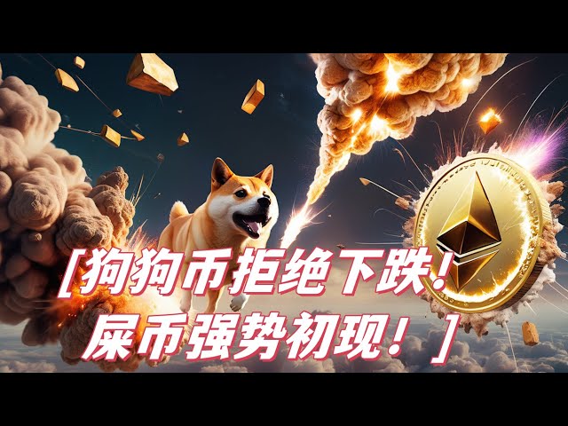 Dogecoin Doge는 하락을 거부합니다! 여기 떨어지면 그래도 사겠습니다! Shib의 대규모 강세 모델이 확립되어 40% 급등 확률이 높습니다!