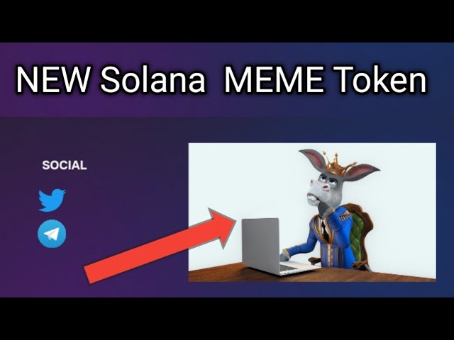 Solana 上的 Donkey King 新 Meme 代幣