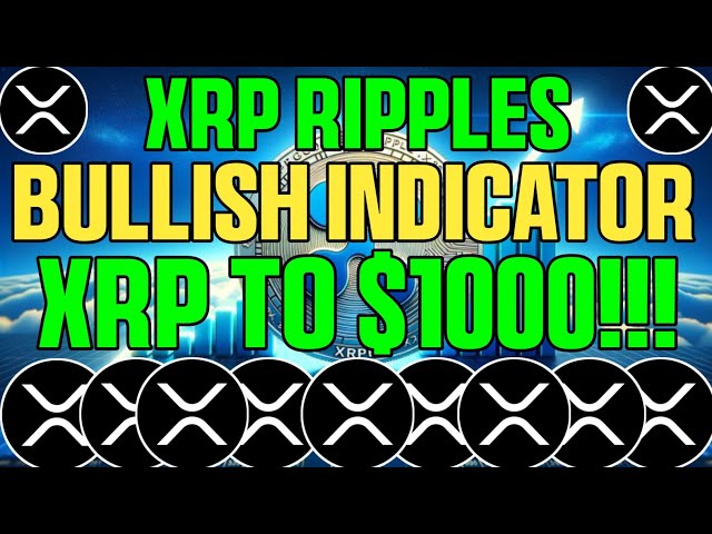 XRPリップルアップデート：500億XRPが消滅！