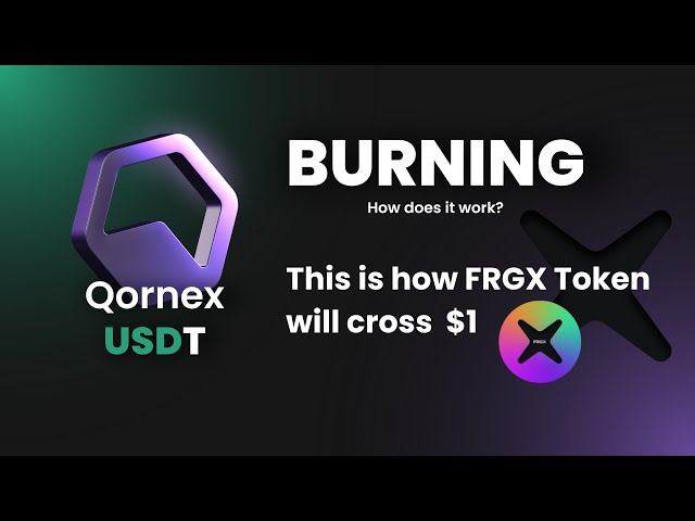 QORNEX USDT - バーニング (ヒンディー語) |燃焼とは何ですか? |ムアズ・ダンセ著