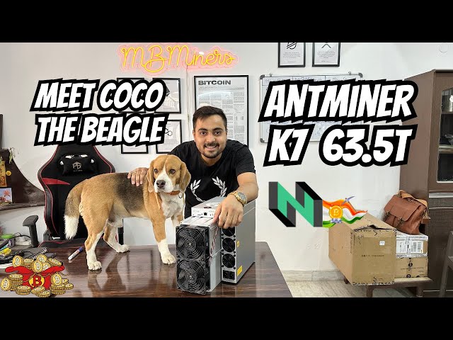 Antminer K7 63.5T 🚀 | Mineur de pièces CKB du réseau Nervos🔥| Crypto Mining Inde 🚀 @MBMiners🇮🇳🚀 #antminerk7