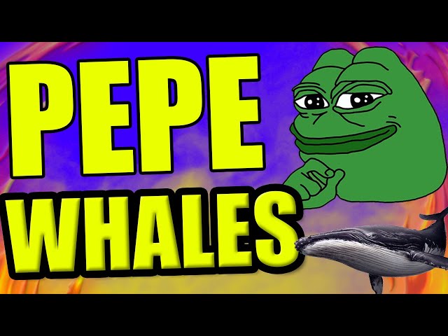 WHY ARE PEPE COIN WHALES BUYING!? WHAT DO THEY KNOW?