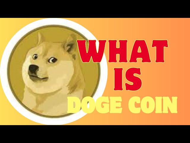 WHAT IS DOGE COIN