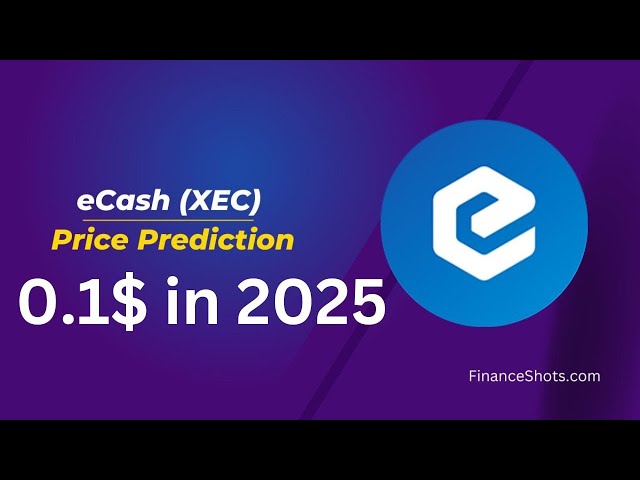 Der ECASH-BULLENMARKT IST DA | XEC 2-MINUTEN-UPDATE | XEC-PREISVORHERSAGE | XEC-ANALYSE