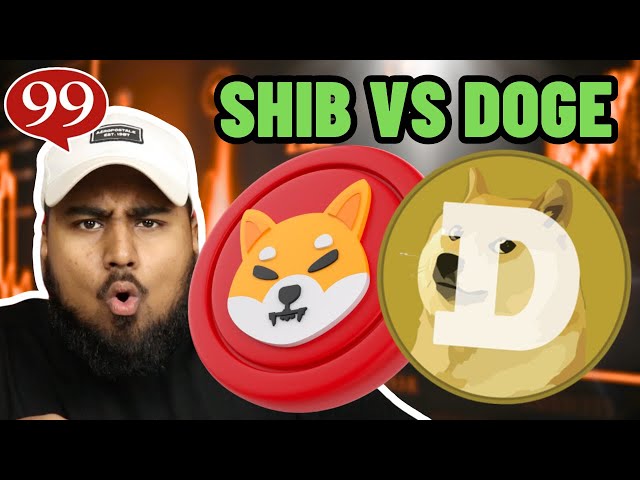 Shiba Inu contre Dogecoin | Quelle pièce meme fera de vous un millionnaire en premier ?!