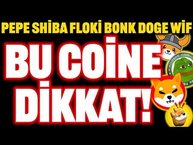 小心這枚硬幣！ PEPE SHIBA FLOKI DOGE BONK 會繼續上漲嗎？ #floki #bonk #dogecoin #shiba #shib