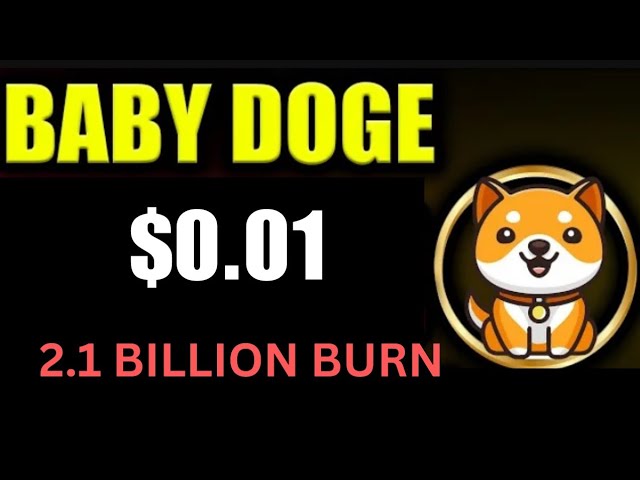 Baby Dogecoin News Today | 2.1 Billion Burning | BabyDoge Coin Price Pump 100x | Binance Listing