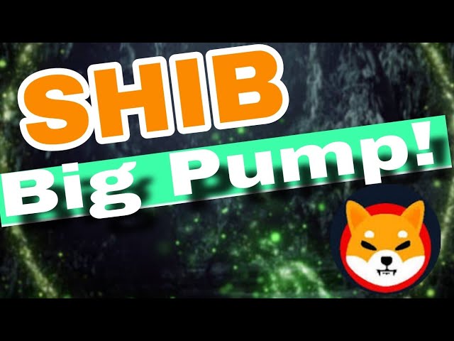 SHIB GROSSE PUMPE! Nächstes Preisziel der SHIB-Münze