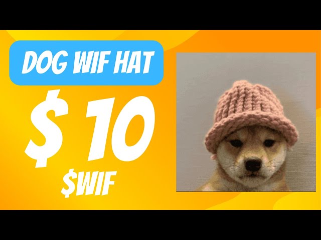 HUND WIF HAT $WIF bis 10 $