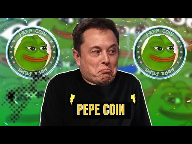 페페 뉴스 | 다른 사람들과 맞서 싸우는 PEPE | 5월 최고의 밈 코인