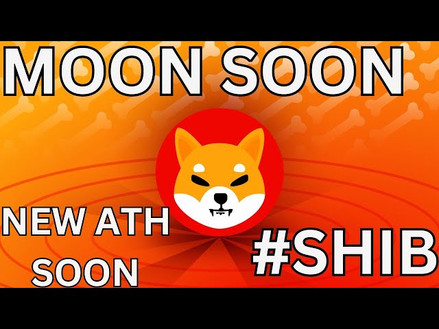 SHIB 불런 | SHIB 코인 가격 예측 | SHIB이 0.01$에 도달할까요?