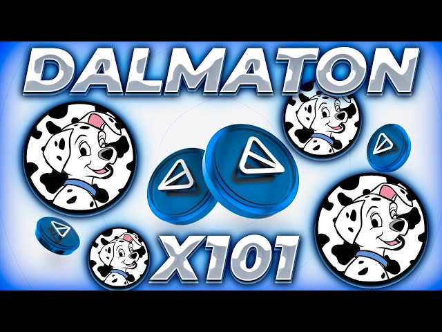 DALMATON NEUER SHIBA IM TON-NETZWERK! DALMATIAN FIRST X'S SIND IN DER NÄHE! DALMATON X101!