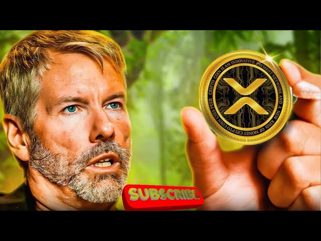 XRP RIPPLE MICHAEL SAYLOR BESTÄTIGT XRP !!!Xrp Ripple|Ripple xrp|RIPPLE RESPONSI|Xrp Preisvorhersage