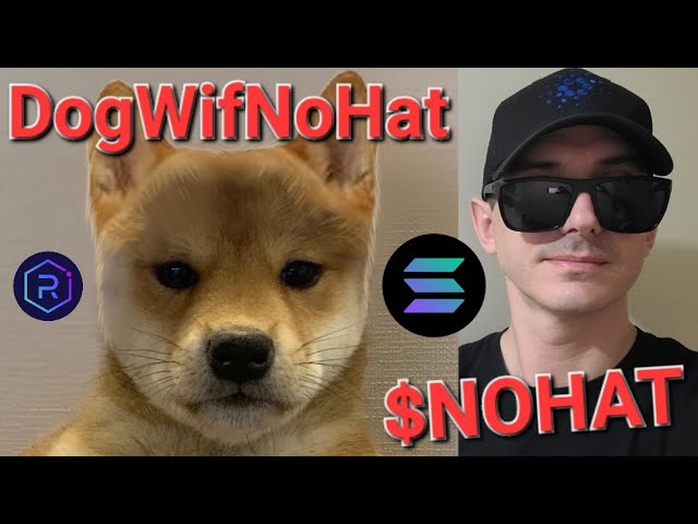 $NOHAT - DogWifNoHat トークン クリプト コイン ノーハット ドッグウィフ ノーハット ソル ソラナ レイジウム ジュピター オルカ ドージ 新品