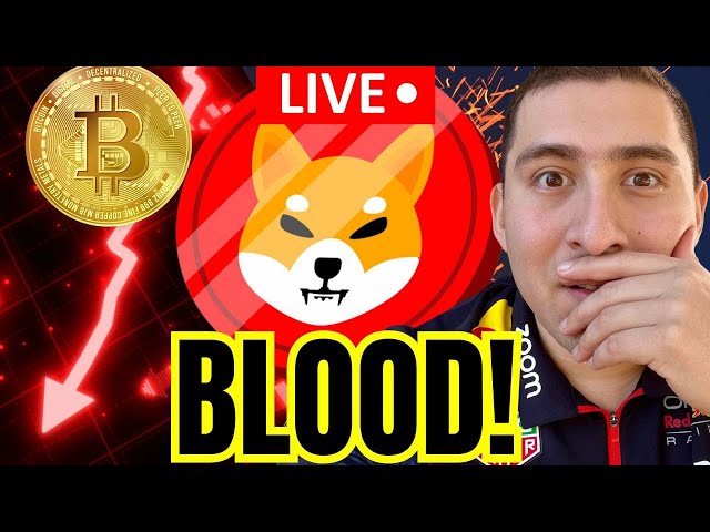 SHIBA INU COIN QUI VEND !🔴CRYPTO DOWN OFFRES